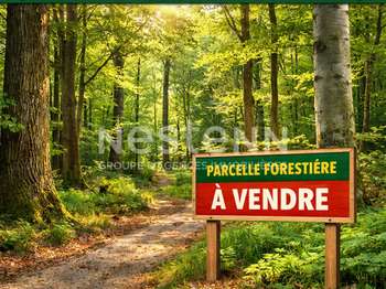 Vente Terrain 13435 m&sup2;Saint-Martin-des-Prés