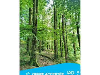 Vente Terrain 10344 m&sup2;Saint-Martin-des-Prés