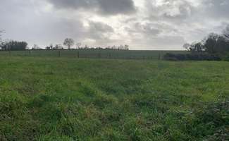 Photo Vente de terrain Saint-Martin-Lars-en-Sainte-Hermine