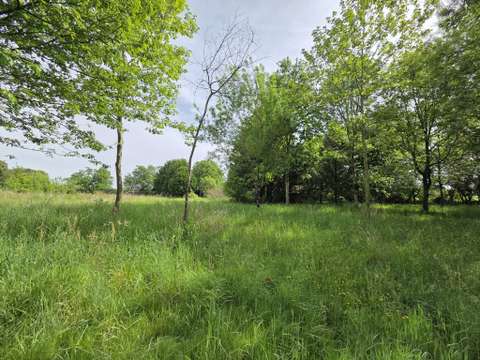 Vente de terrain Saint-Mathurin 85