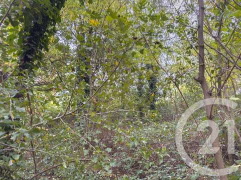Vente de terrain Saint-Mathurin 85