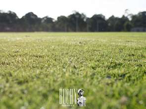 Vente Terrain 708 m&sup2;Saint-Mathurin