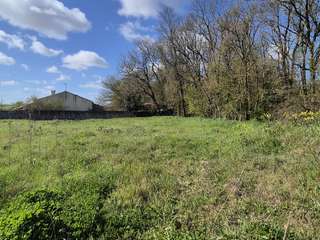 Vente de terrain