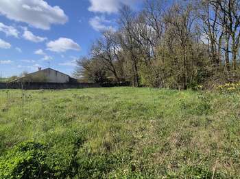 Vente Terrain 1600 m&sup2;Saint-Médard-d'Aunis