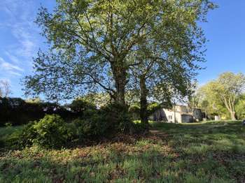 Vente de terrain Saint-Médard-d'Eyrans 33