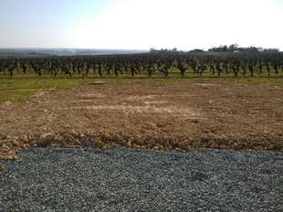 Photo Vente de terrain Saint-Melaine-sur-Aubance