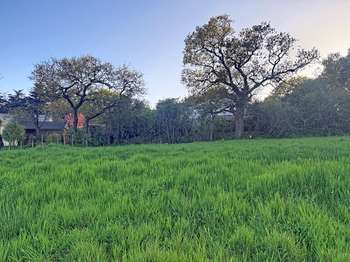 Vente de terrain Saint-Michel-Chef-Chef 44