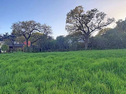 Vente de terrain Saint-Michel-Chef-Chef 44