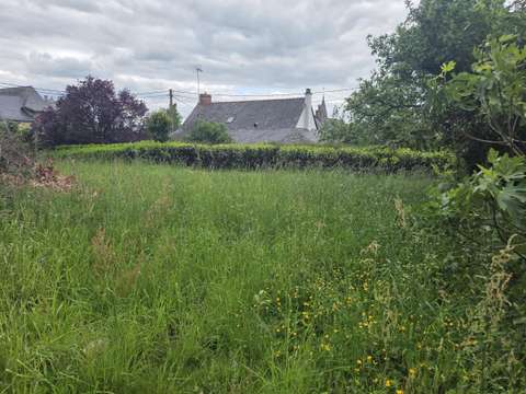 Vente de terrain Saint-Michel-de-Feins 53