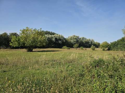 Vente de terrain Saint-Michel-en-l'Herm 85
