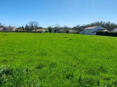Vente de terrain