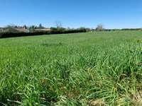 Vente de terrain