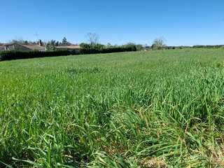 Vente de terrain