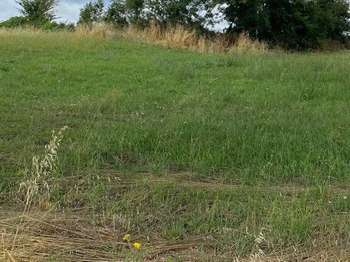 Vente de terrain Saint-Michel-le-Cloucq 85