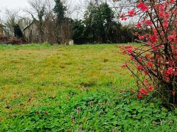 Vente de terrain Saint-Nauphary 82