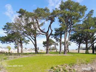 Vente de terrain