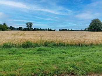 Vente de terrain