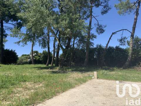 Vente de terrain