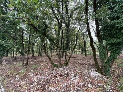 Vente de terrain
