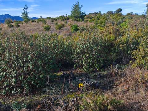 Vente de terrain Saint-Paul-de-Fenouillet 66