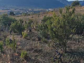 Vente de terrain