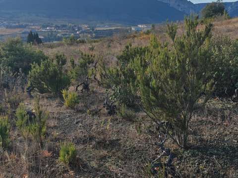 Vente de terrain
