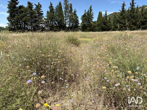Vente de terrain Saint-Paul-Trois-Châteaux 26