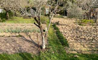 Photo Vente de terrain Saint-Pavace