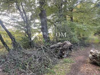 Vente de terrain