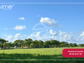Vente de terrain