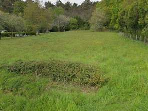 Vente Terrain 2950 m&sup2;Saint-Perreux