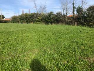 Vente de terrain
