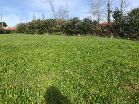 Vente de terrain