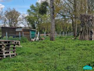 Vente de terrain