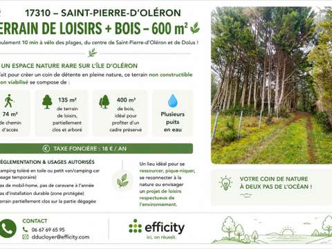 Vente de terrain Saint-Pierre-d'Oléron 17