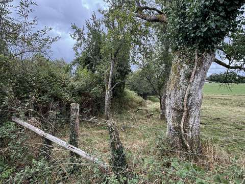Vente de terrain