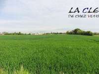 Vente de terrain