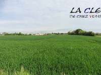 Vente de terrain