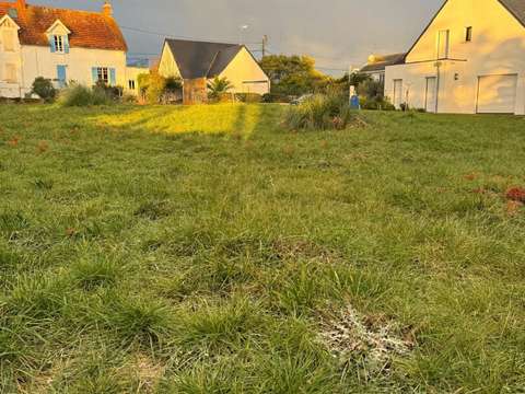 Vente de terrain