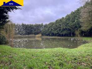 Vente Terrain 10900 m&sup2;Saint-Poix