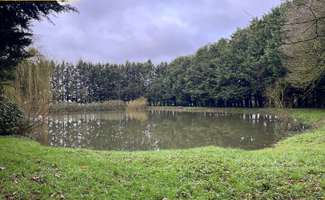 Photo Vente de terrain Saint-Poix
