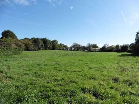 Vente de terrain Saint-Pompain 79