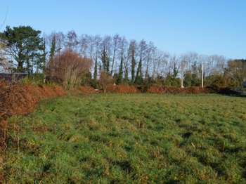 Vente de terrain