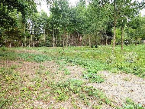 Vente de terrain Saint-Rémy 14