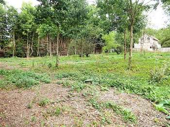 Vente de terrain