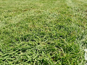 Vente Terrain 1000 m&sup2;Saint-Rémy