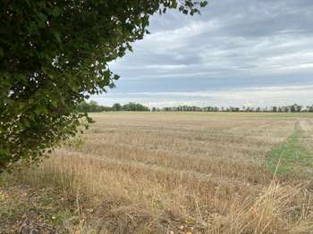 Vente Terrain 499 m&sup2;Saint-Rémy