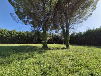 Vente Terrain 1200 m&sup2;Saint-Rémy-de-Provence