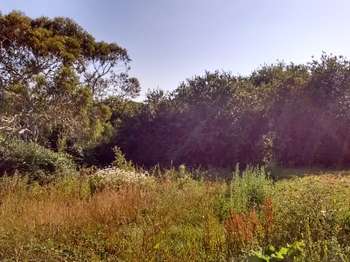 Vente Terrain 370 m&sup2;Saint-Renan