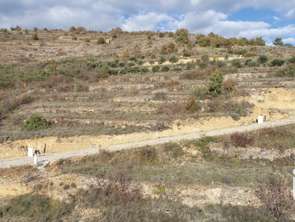 Vente Terrain 864 m&sup2;Saint-Rome-de-Tarn